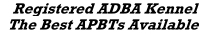 adba.jpg (6622 bytes)