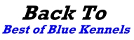 backmai.jpg (9044 bytes)