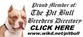 pitadv.jpg (11364 bytes)